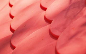 Holt Wood plastic roof costs