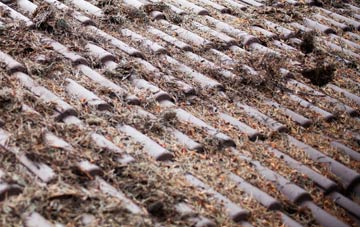 Holt Wood roof cleaning companies