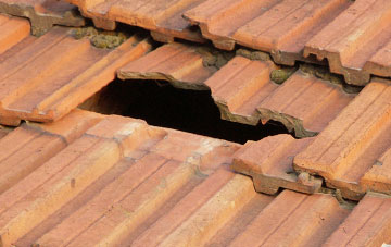 roof repair Holt Wood, Dorset