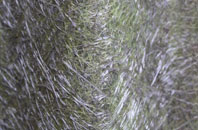 Holt Wood fibreglass roof work